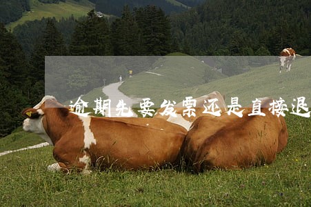 逾期先要发票还是直接退款 逾期先要发票还是直接退款