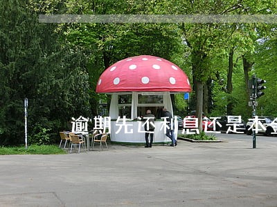 逾期先还利息还是本金 逾期先还利息还是本金