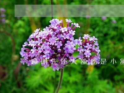 逾期先还大额还是小额 逾期先还大额还是小额