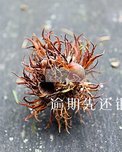 逾期先还银行还是网贷 逾期先还银行还是网贷