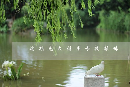 逾期光大信用卡提额吗 逾期光大信用卡提额吗