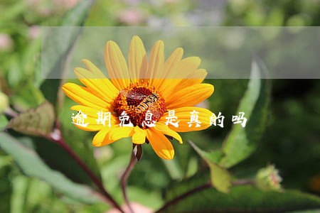逾期免息是真的吗 逾期免息是真的吗