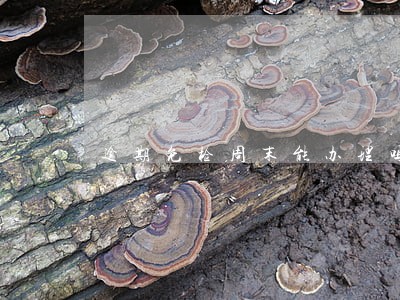 逾期免检周末能办理吗 逾期免检周末能办理吗