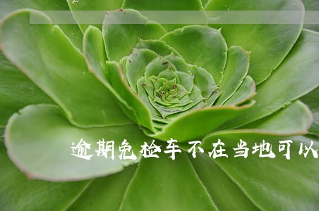 逾期免检车不在当地可以办理吗 逾期免检车不在当地可以办理吗