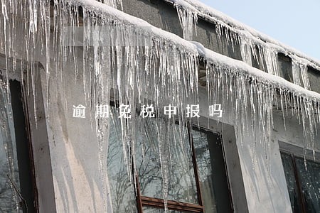 逾期免税申报吗 逾期免税申报吗