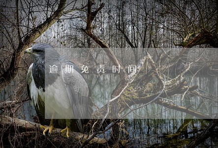 逾期免责时间 逾期免责时间