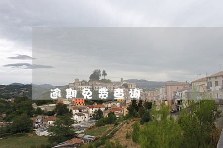 逾期免费查询 逾期免费查询