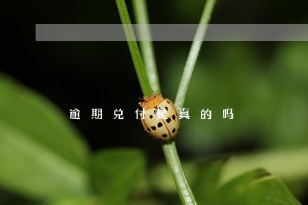 逾期兑付是真的吗