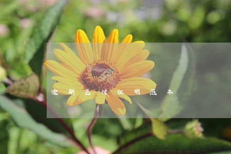 逾期兑付证明范本