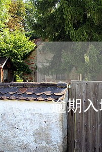 逾期入境处罚规定 逾期入境处罚规定