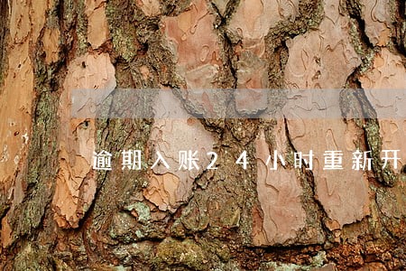 逾期入账24小时重新开卡 逾期入账24小时重新开卡