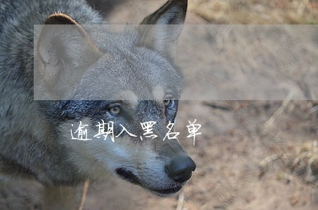 逾期入黑名单 逾期入黑名单