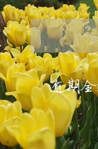 逾期全款购房合适吗 逾期全款购房合适吗