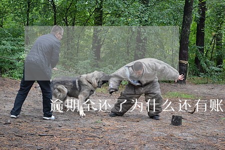 逾期全还了为什么还有账单 逾期全还了为什么还有账单