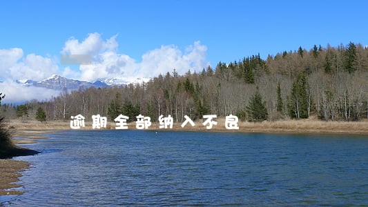 逾期全部纳入不良