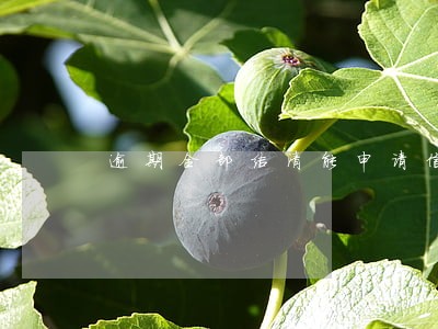 逾期全部结清能申请信用卡么 逾期全部结清能申请信用卡么