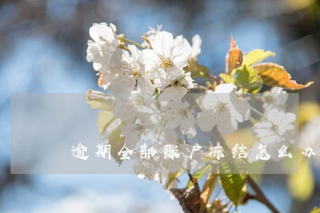 逾期全部账户冻结怎么办 逾期全部账户冻结怎么办