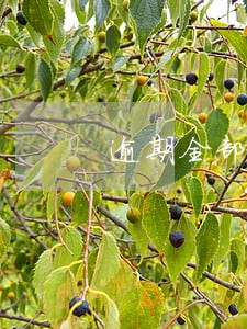 逾期全部还完还能重新申请吗 逾期全部还完还能重新申请吗