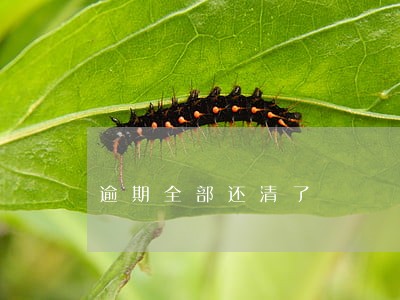逾期全部还清了