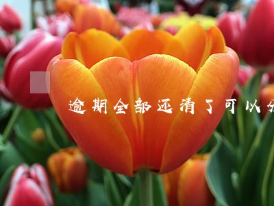逾期全部还清了可以分期买车吗 逾期全部还清了可以分期买车吗