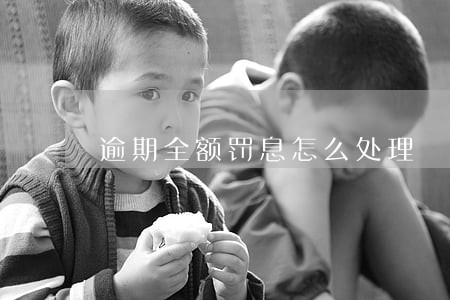 逾期全额罚息怎么处理 逾期全额罚息怎么处理