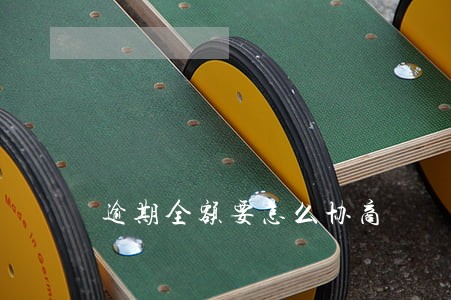 逾期全额要怎么协商