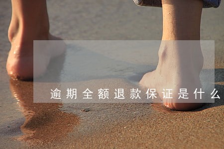 逾期全额退款保证是什么意思