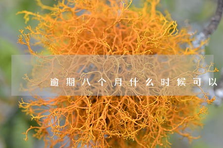 逾期八个月什么时候可以恢复 逾期八个月什么时候可以恢复