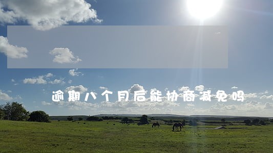 逾期八个月后能协商减免吗 逾期八个月后能协商减免吗