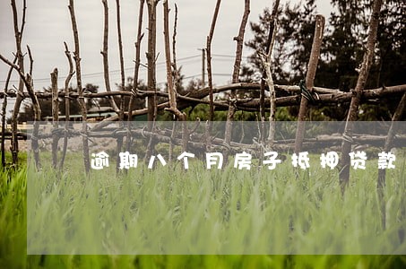 逾期八个月房子抵押贷款 逾期八个月房子抵押贷款