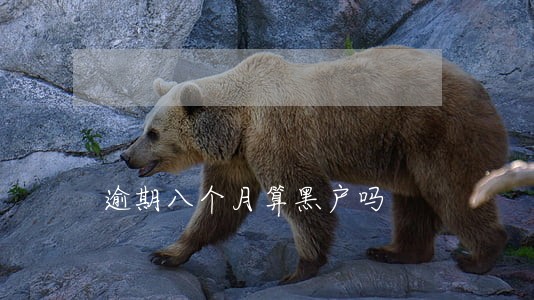 逾期八个月算黑户吗 逾期八个月算黑户吗