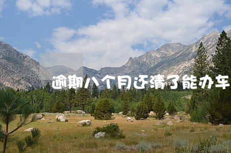 逾期八个月还清了能办车贷吗 逾期八个月还清了能办车贷吗