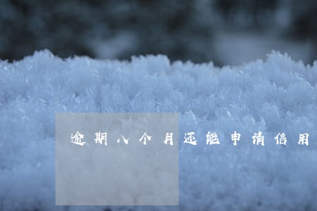 逾期八个月还能申请信用卡吗 逾期八个月还能申请信用卡吗