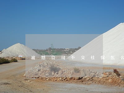 逾期公司不交社保怎么办 逾期公司不交社保怎么办