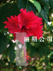 逾期公司不接电话怎么办 逾期公司不接电话怎么办