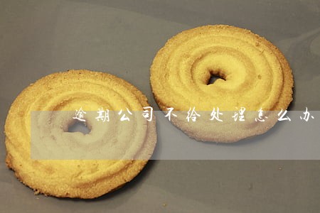 逾期公司不给处理怎么办 逾期公司不给处理怎么办