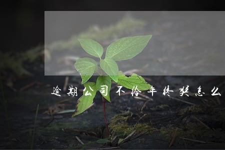 逾期公司不给年终奖怎么办 逾期公司不给年终奖怎么办