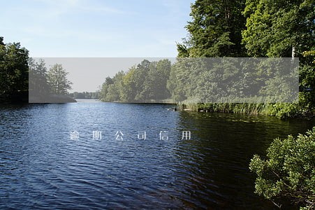 逾期公司信用