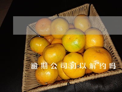 逾期公司可以解约吗 逾期公司可以解约吗