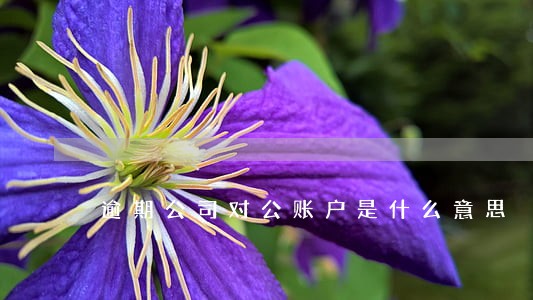逾期公司对公账户是什么意思