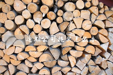 逾期公司拖欠怎么办 逾期公司拖欠怎么办