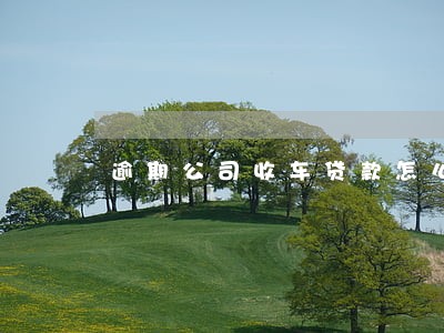 逾期公司收车贷款怎么办 逾期公司收车贷款怎么办