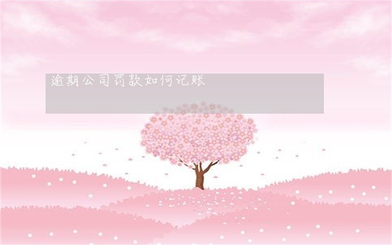 逾期公司罚款如何记账 逾期公司罚款如何记账