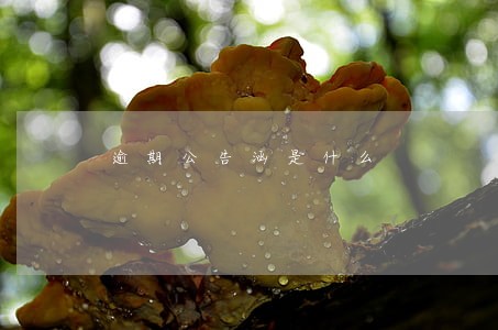 逾期公告涵是什么 逾期公告涵是什么