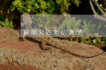 逾期公告短信类型 逾期公告短信类型