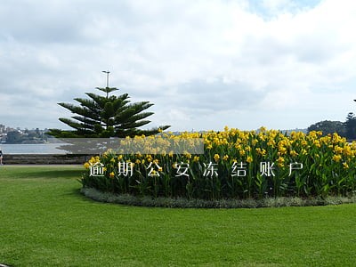 逾期公安冻结账户 逾期公安冻结账户