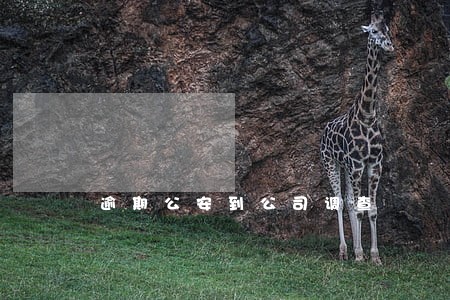 逾期公安到公司调查 逾期公安到公司调查