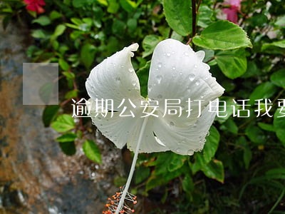 逾期公安局打电话我要不要去 逾期公安局打电话我要不要去