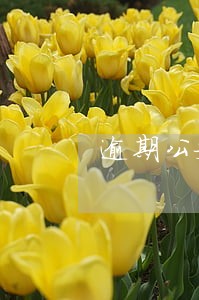 逾期公安打电话 逾期公安打电话