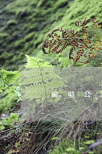 逾期公安电话 逾期公安电话